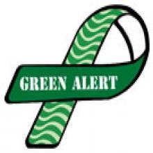 Green ribbon with green alert written on it